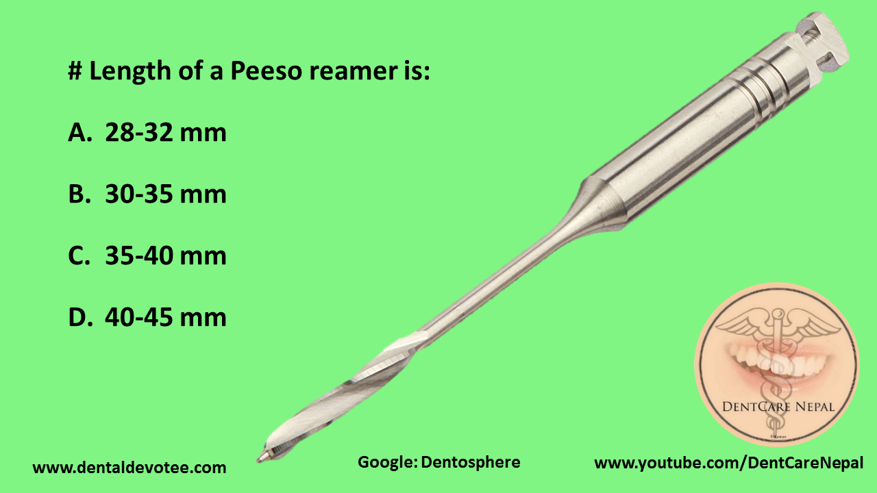Dentosphere World of Dentistry Length of a Peeso reamer is