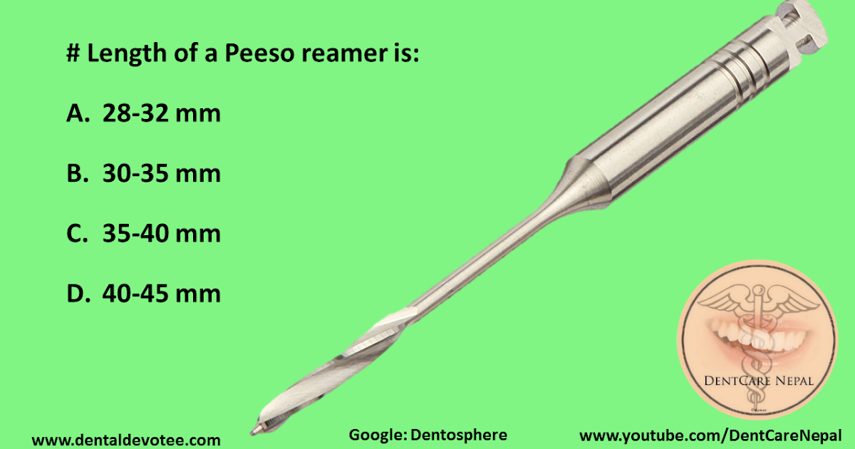 Dentosphere World of Dentistry Length of a Peeso reamer is