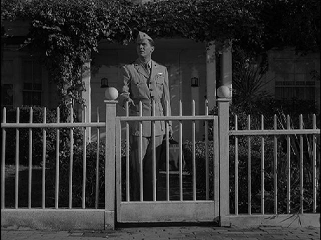 The Twilight Zone Vortex: 