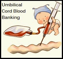 Benefits of Umbilical Cord Blood Banking