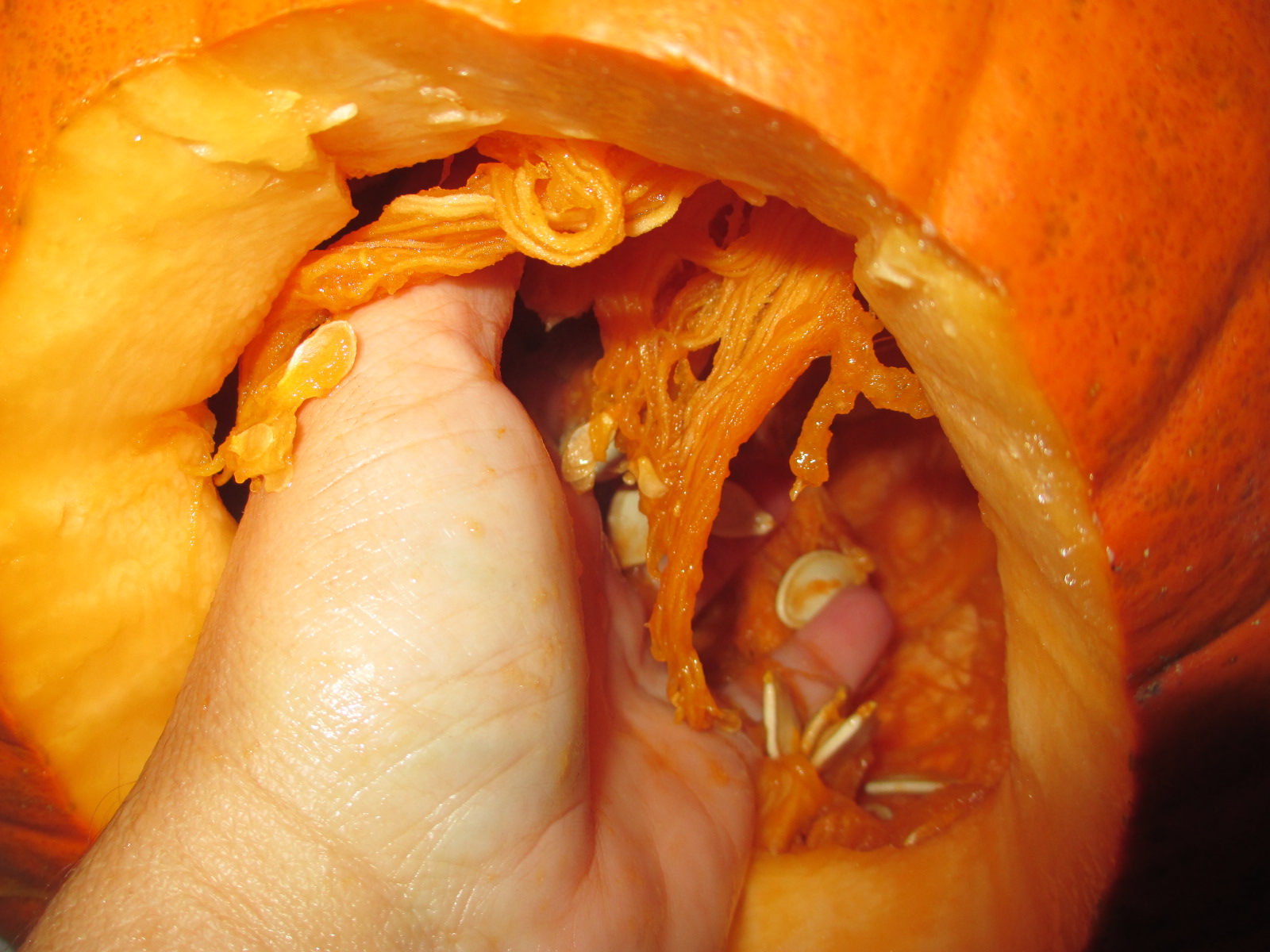 Pumpkin Guts Life Away From The Office Chair