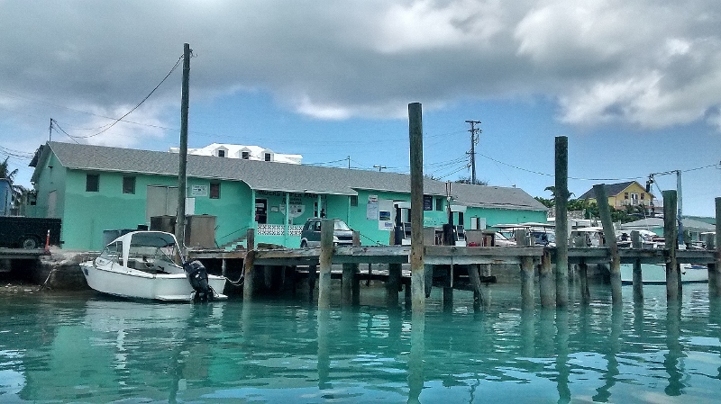 The Cynical Sailor His Salty Sidekick Going For A Walk With A