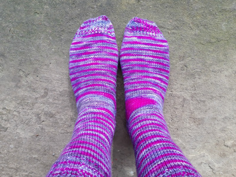 Holkham Walled Garden Viburnum X Bodnantense Dawn