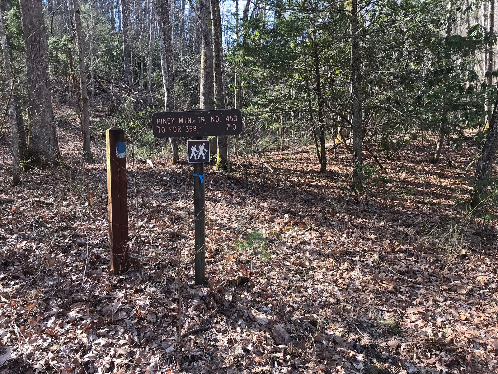Wandering Virginia Piney Mtn Trail, Warm Springs District, GWNF