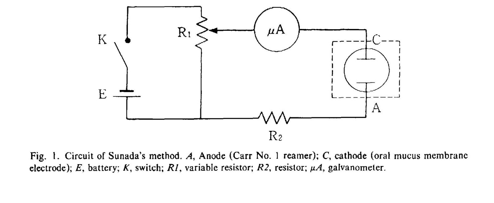 Endodontics Electronic Apex Locators
