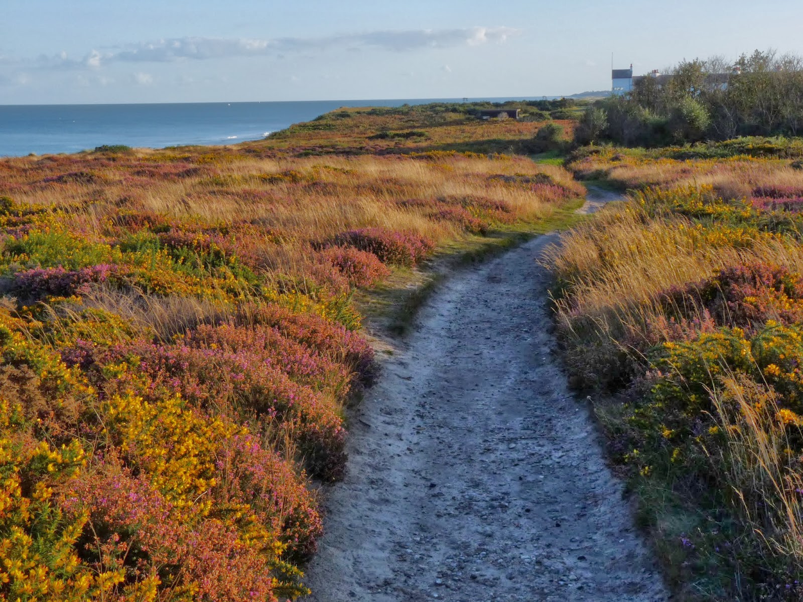 Wild And Wonderful November 2013