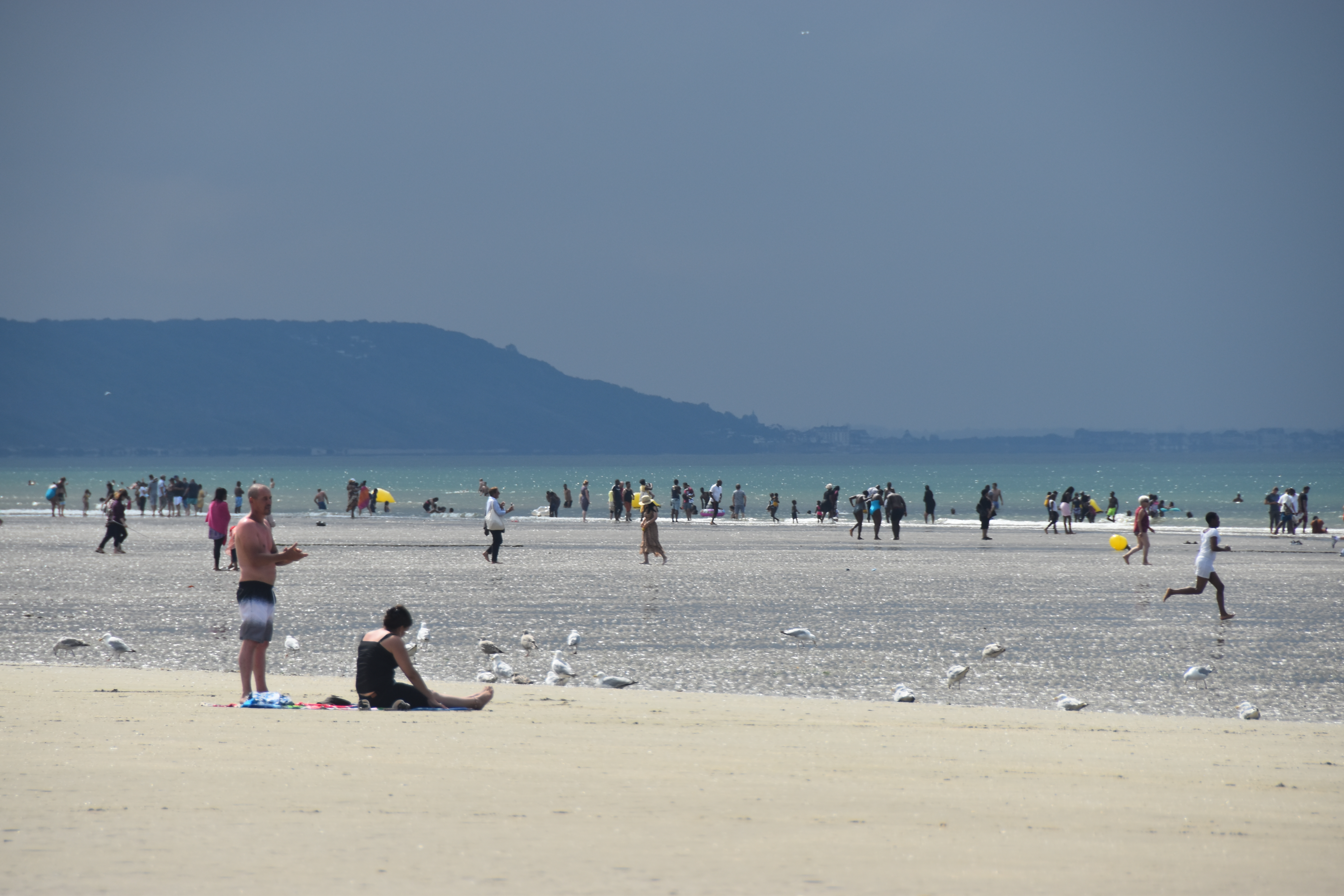 L’attribut alt de cette image est vide, son nom de fichier est DSC_0250.JPG.