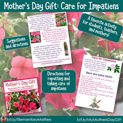 Shiatoshi Annual Sweet Pea Germination And Care