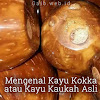 Mengenal Kayu Kokka atau Kaukah Asli Mengenal Kayu Kokka atau Kaukah Asli