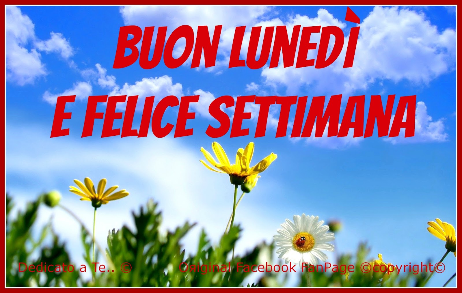 ????¢??? ? ??.. ??• ?: ?? »» BUONGIORNO A TE ? FELICE SETTIMANA «« ??