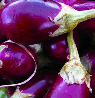 The Persians brought eggplants to Africa