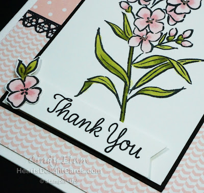 Southern Serenade, Occasions 2018, Stampin' Up!, Thanks, Thank You