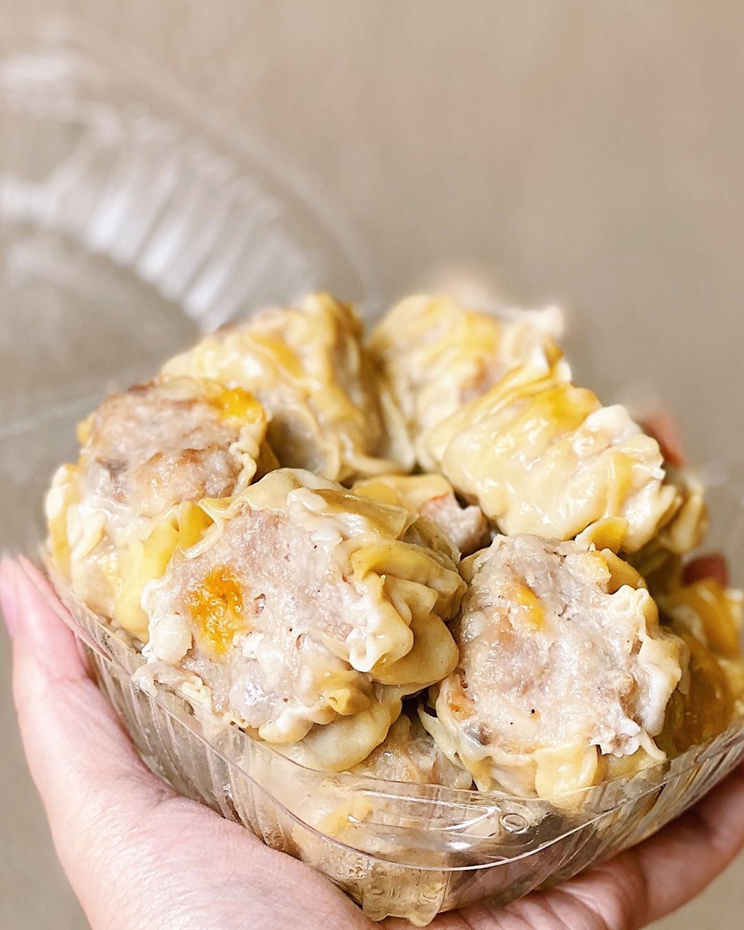 Cara Buat Dimsum Vegetarian / dimsum siomay | Dim sum, Resep, Fotografi