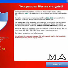 immagine non visualizzata