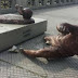 EN ACTO VANDÁLICO, LE CORTARON LAS PIERNAS A LA ESTATUA DE LIONEL MESSI EN BUENOS AIRES 