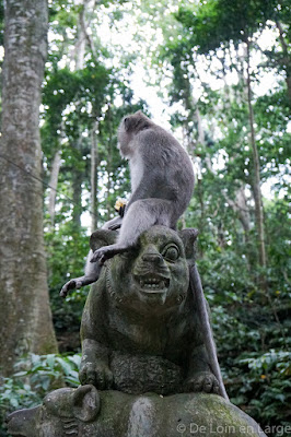 Monkey Forest - Ubud - Bali