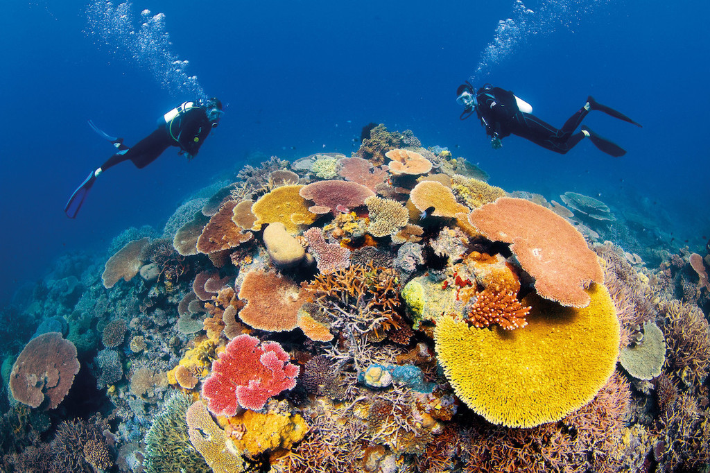 Scuba Diving Great Barrier Reef, Australia Scuba Diving Great Barrier Reef, Australia