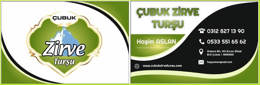 Çubuk Zirve Turşu İletişim