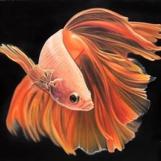 За пределами реализма. Magda Torres Gurza Magda Torres Gurza