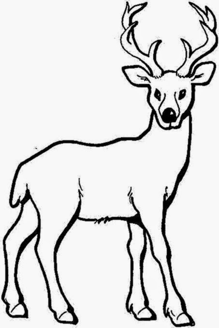 baby deer coloring pages to print - photo #32