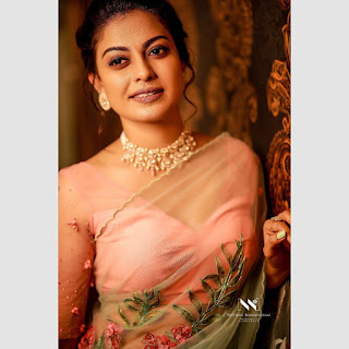 Actress Anusree Nair Saree Photos Stills Gallery Actress Anusree Nair Saree Photos Stills Gallery