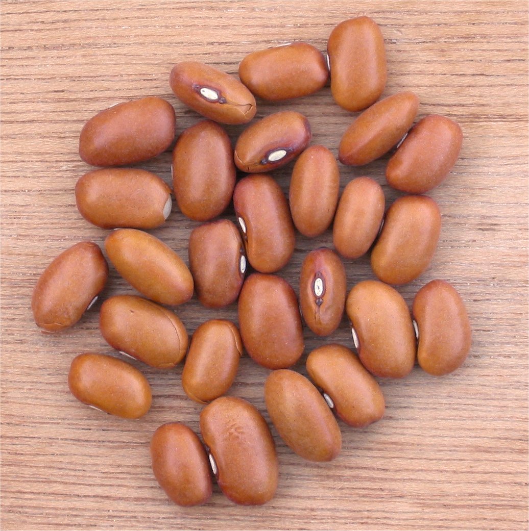 Le blog de Clementine Haricots bruns aux lardons