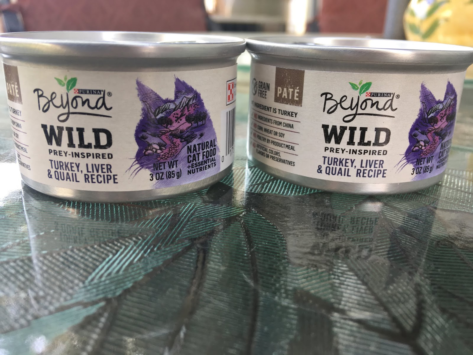 It's all about the cats! review Beyond Wild wet food 