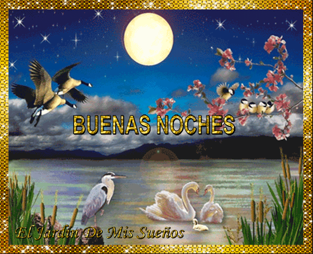 BUENAS NOCHES