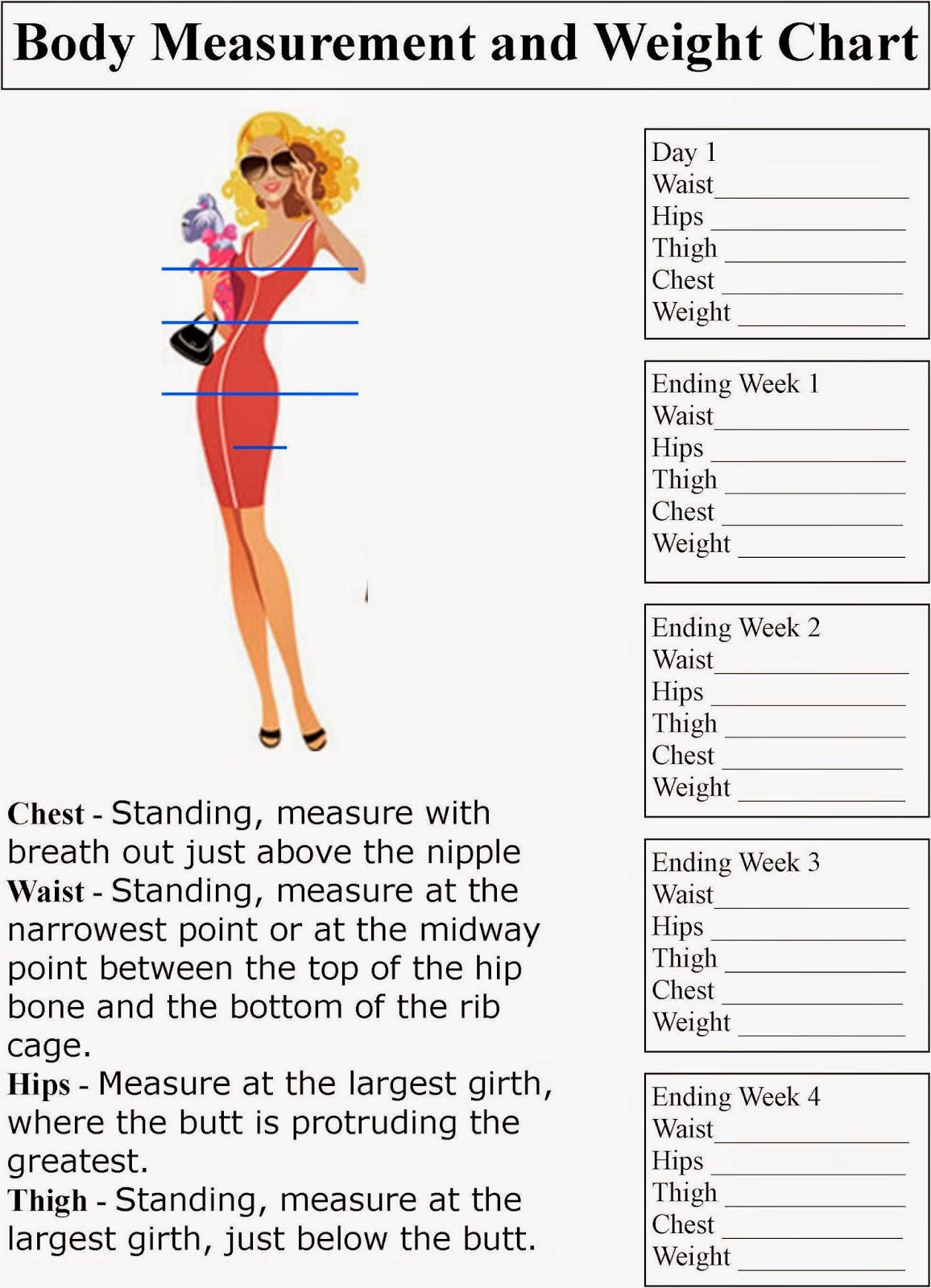 Muffins vs. Muffintop Body Measurement and Weight Chart 2