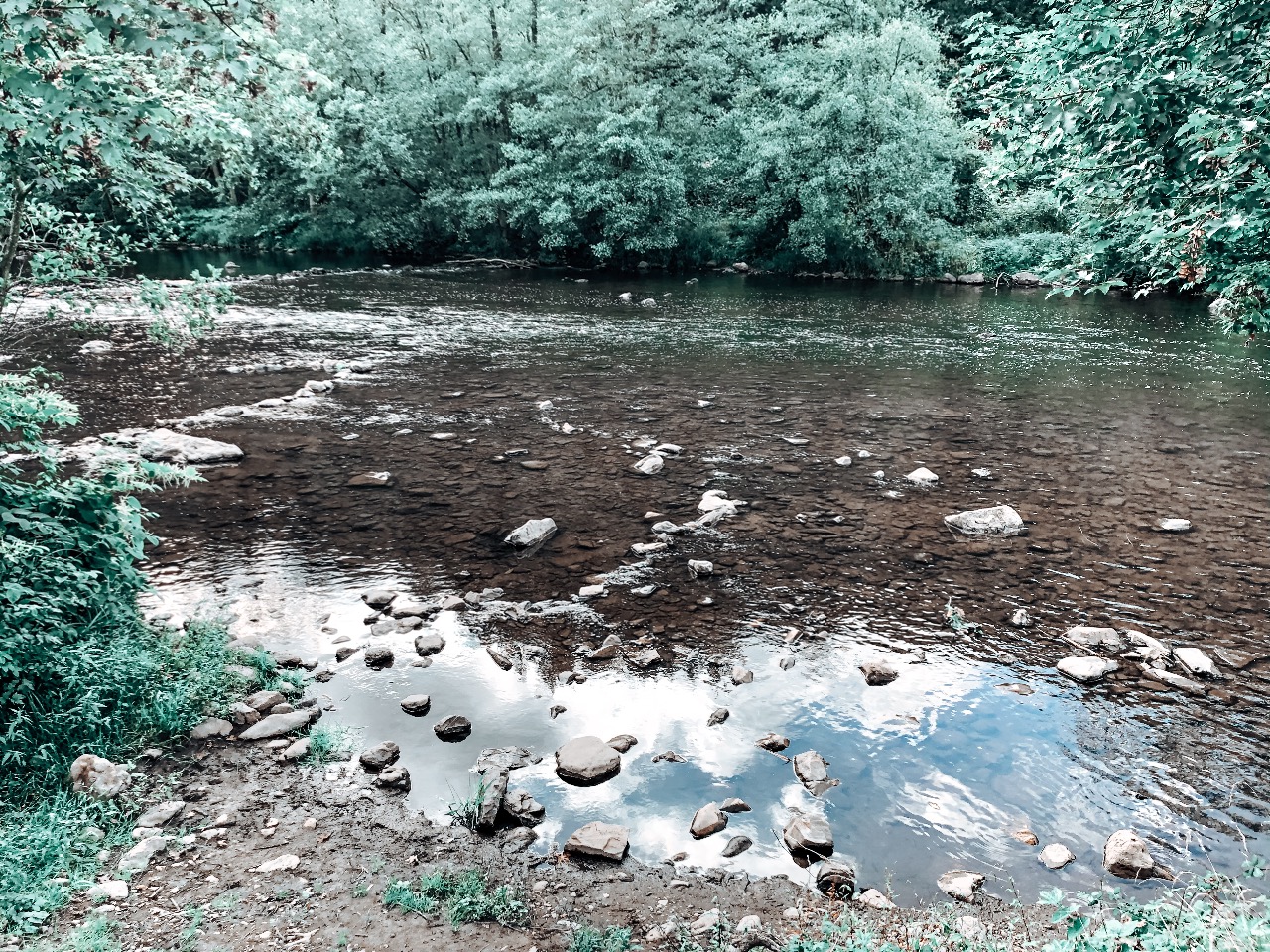 week foto's beek camping week foto's beek camping