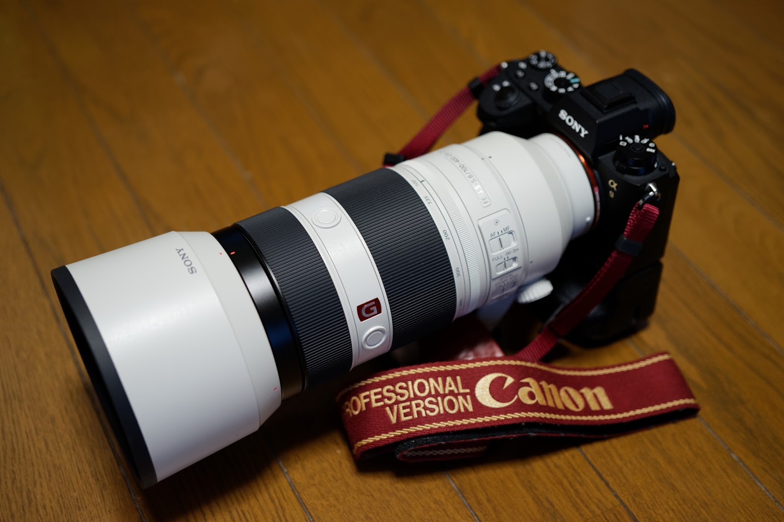 SONY FE 100-400mm F4.5-5.6 GM OSS | Photo of the Life