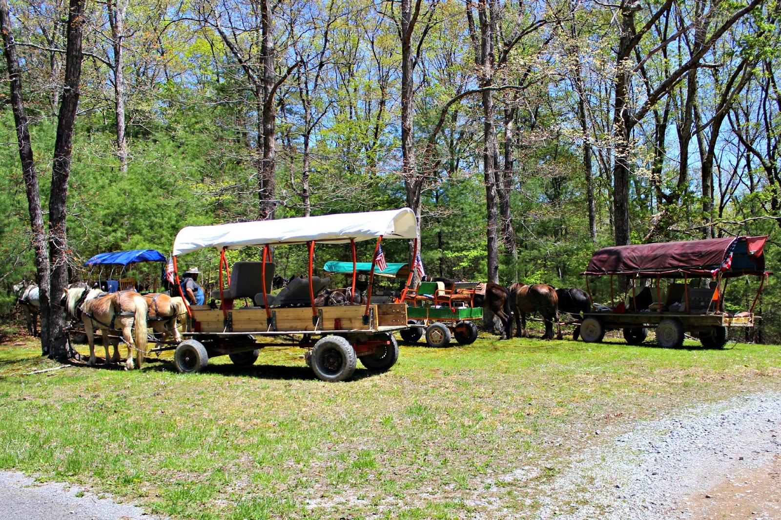 Smooth Stones The Ramp Festival
