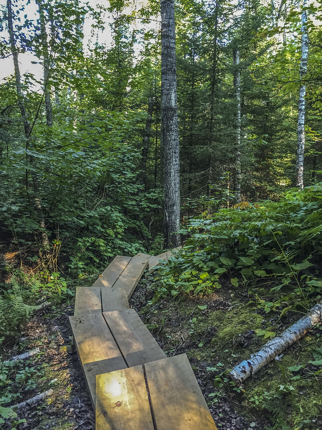 The Lakeshore Trail at the Apostle Islands National Lakeshore