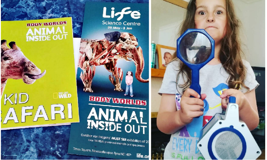 Life As Kim A photo everyday for a year! Project366 Week 22