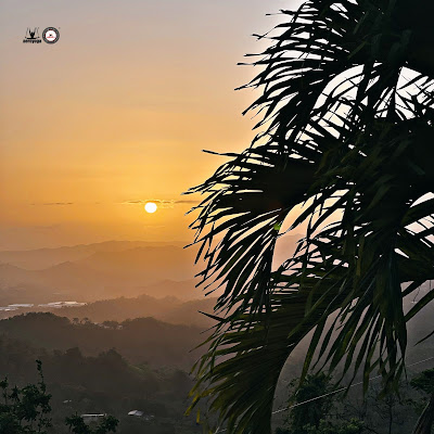 Ayurveda en Puerto Rico