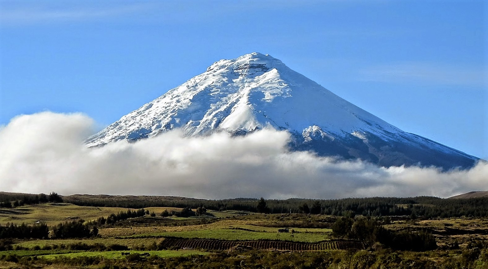 cotopaxi tour from latacunga