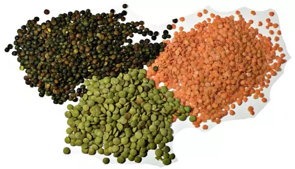 benefits of lentil food Eating