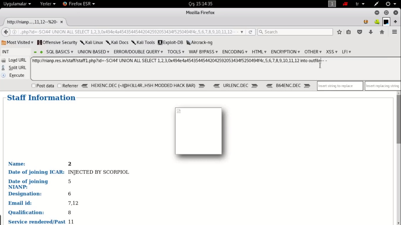 Entity query. Large перевод на русский. Large перевод. Large перевод на русский язык. Coarse перевод на русский