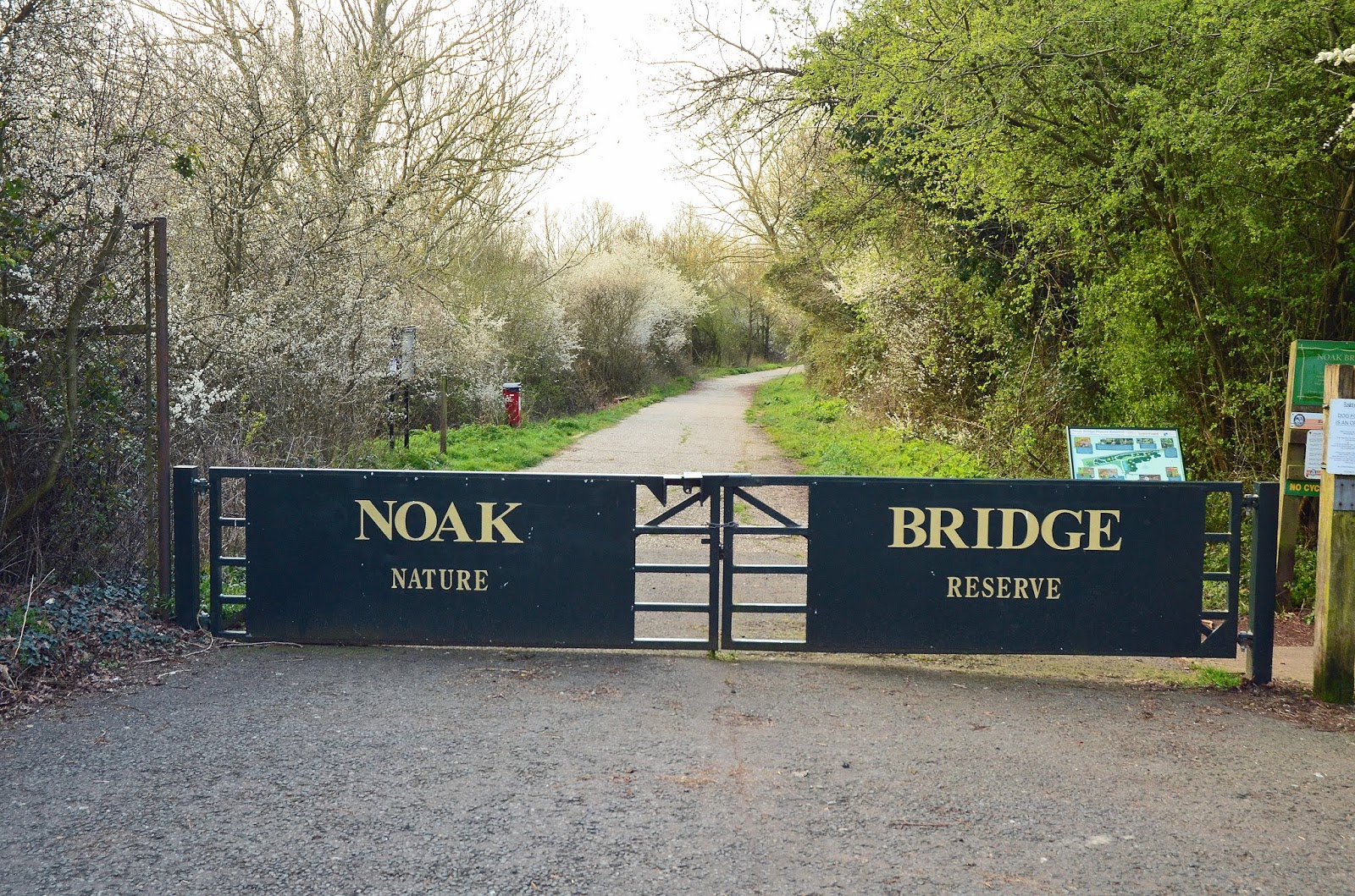 SS15 wildlife watching Noak Bridge Nature Reserve