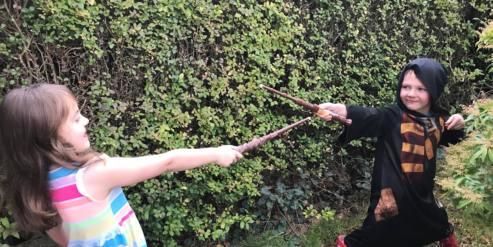 Harry Potter Wizard Training Wands Review Newcastle Family Life