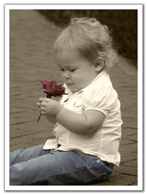 CUTE HD WALLPAPERS | FREE HD WALLPAPERS