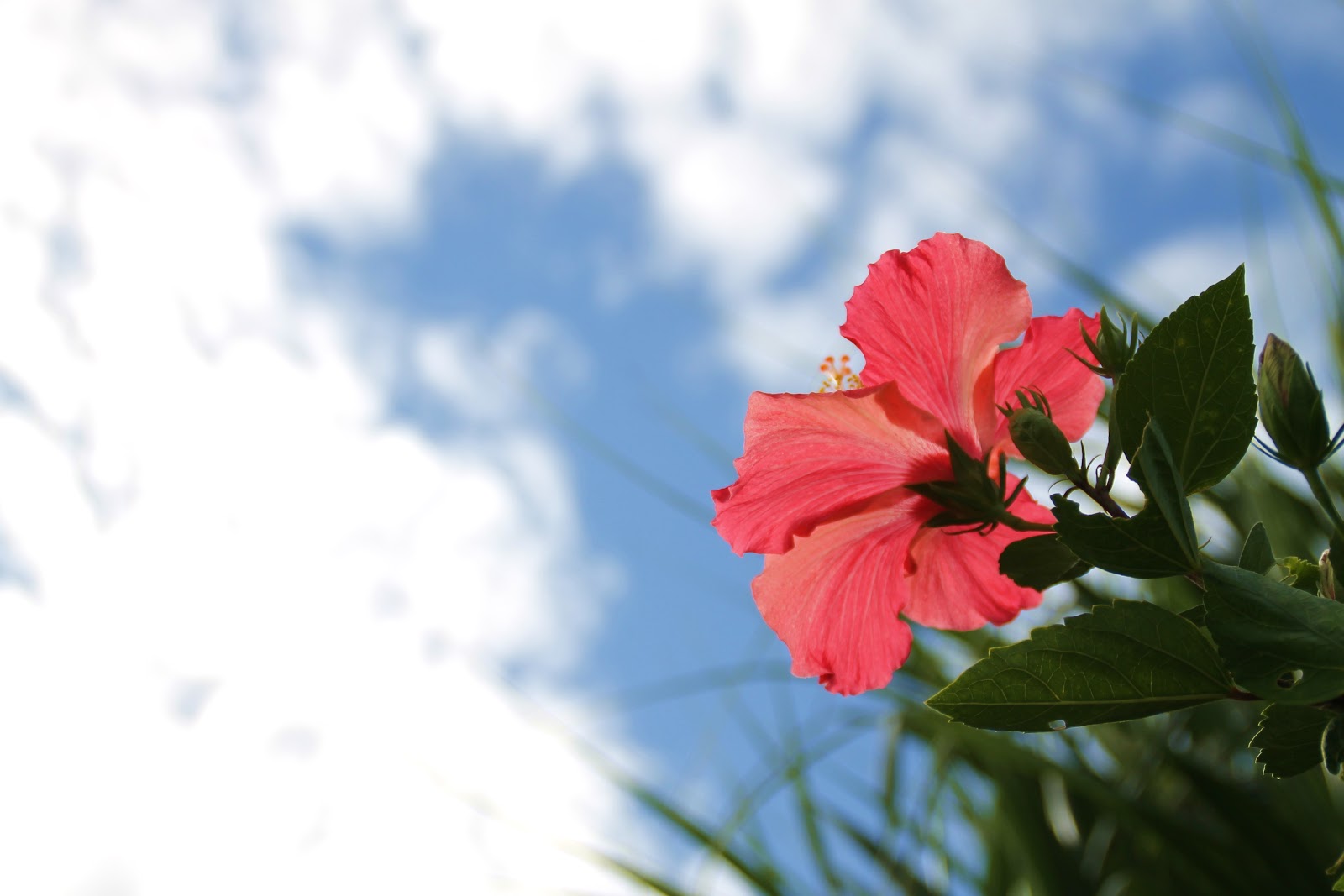 お得に宮古島へ行くには 飛行機編 沖縄コスパ旅行