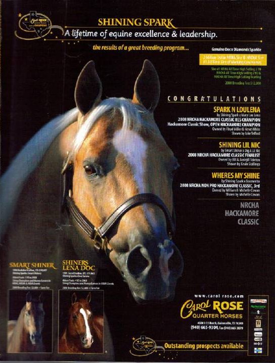 Telaret Ranch Shining Spark