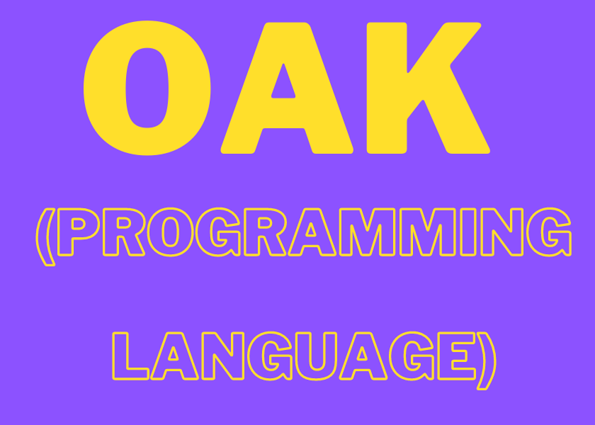 Oak to Java programming language Success Hindi