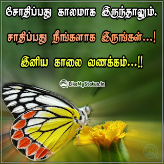 சோதிப்பது காலமாக இருந்தாலும். சாதிப்பது நீங்களாக இருங்கள்...! இனிய காலை வணக்கம்...!!