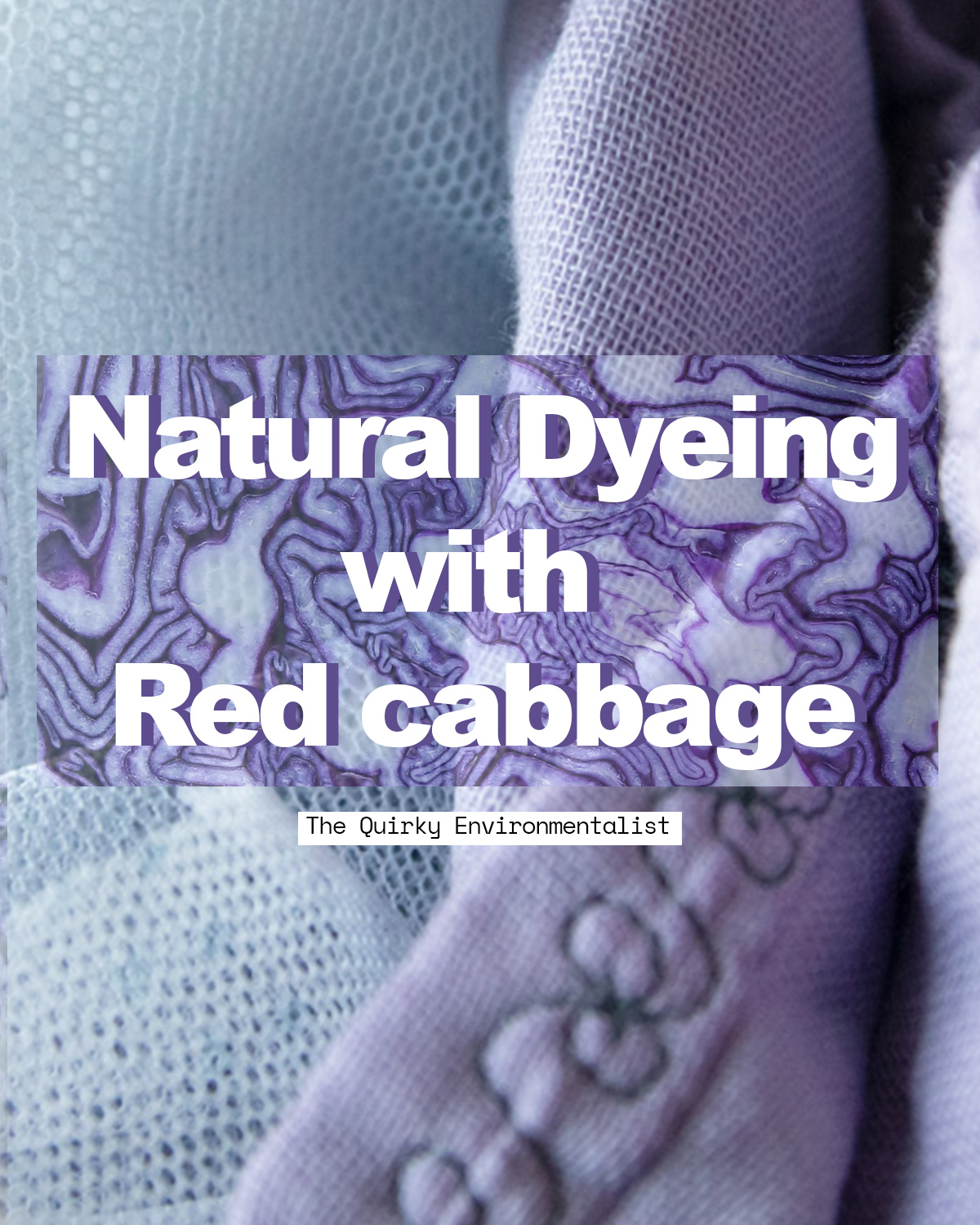 Natural Dyeing with Red Cabbage
