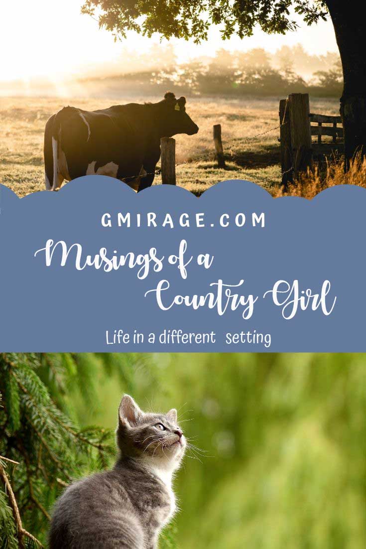 Musings of a Country Girl