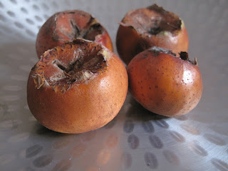 Mermelada De Nispolas