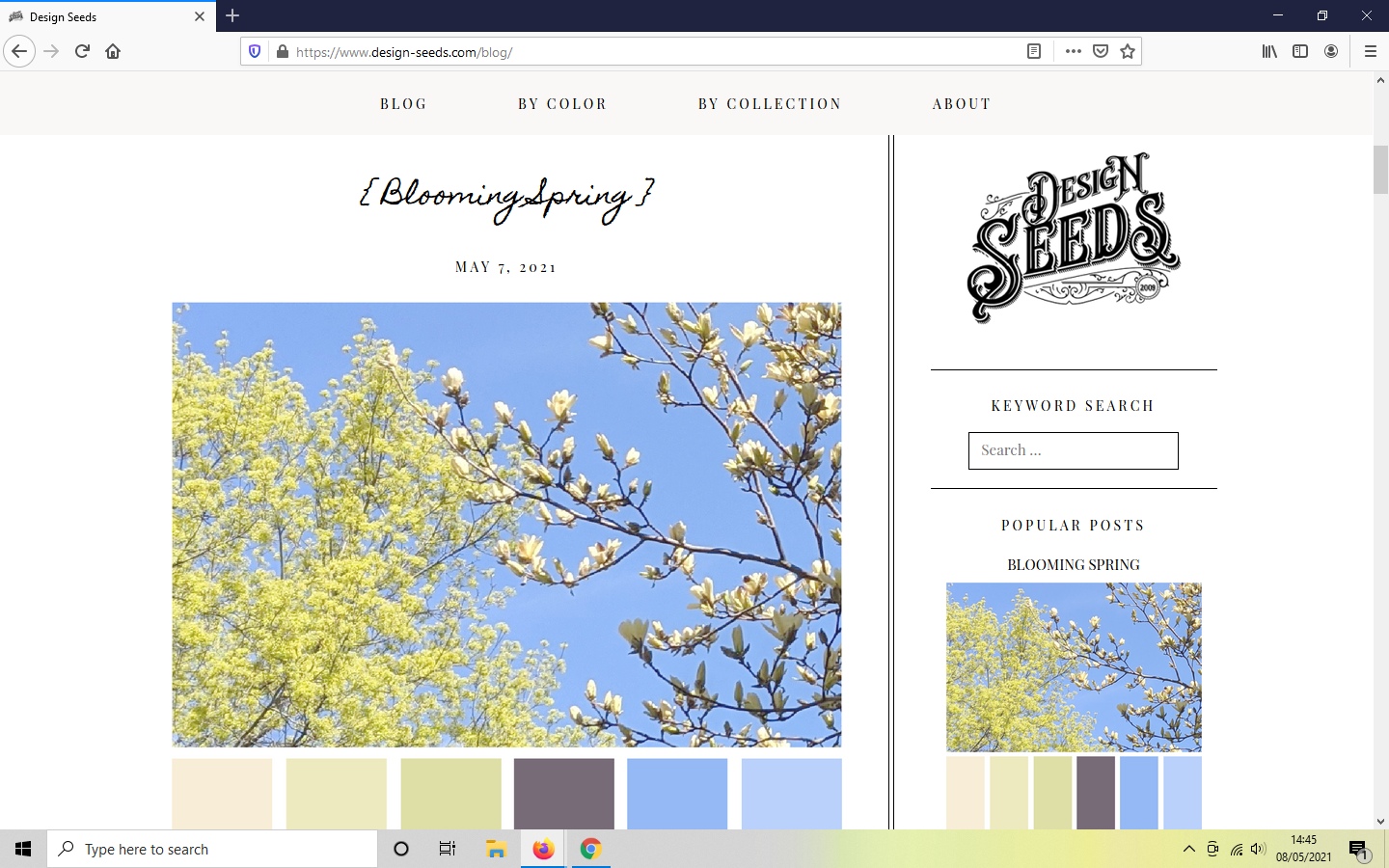 Free Color Palette Resources