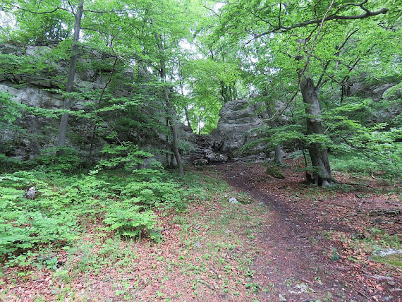 Grupa skalna skaly